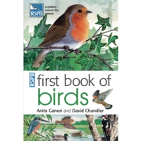 First Book Of Birds