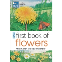 First Book Of Flowers First Book Of Flowers