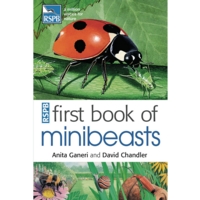 First Book Of Minibeasts First Book Of Minibeasts