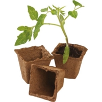 6cm Square Fibre Pots Pack of 20