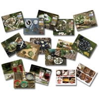 Mud Kitchen Activity Cards Mud Kitchen Activity Cards