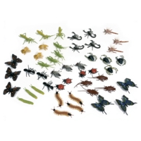 Insect Class Pack Insect Class Pack