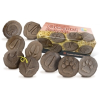 Lets Investigate Farmyard Footprints Lets Investigate Farmyard Footprints
