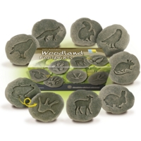 Lets Investigate - Woodland Footprints Lets Investigate - Woodland Footprints