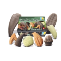 Lets Investigate Prehistoric Teeth Lets Investigate Prehistoric Teeth