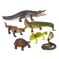 Reptiles 6pc Reptiles 6pc