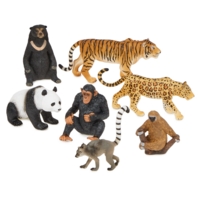 Jungle 7pc Jungle 7pc
