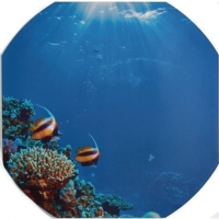 Play Tray Mat - Oceanlife Play Tray Mat - Oceanlife