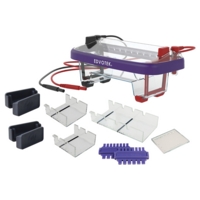 Medium Electrophoresis Medium Electrophoresis