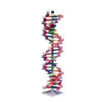 Mini DNA 22 Layer Molecular Model Kit