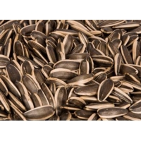 Sunflower Seeds System Sunflower Seeds System