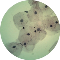 Biological Science Set Biological Science Set