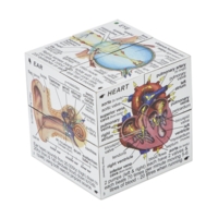 Human Body Cube Human Body Cube