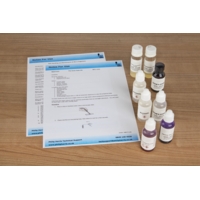 The Gram Stain Kit