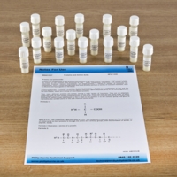 Amino Acids Set Amino Acids Set