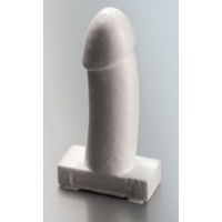 Condom Training Model H145mm Condom Training Model H145mm