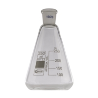 Conical Flasks 250cm3 Socket 19-26