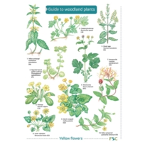 Key To Woodland Plants Key To Woodland Plants