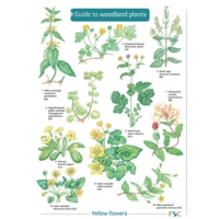 Key To Woodland Plants