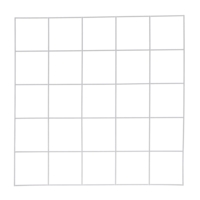 Grid Quadrat 25 squares