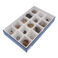 15 Specimen Fossil Set 15 Specimen Fossil Set