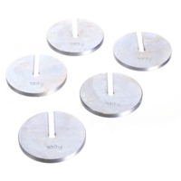 Spare Slotted Masses 100g P5 Spare Slotted Masses 100g P5