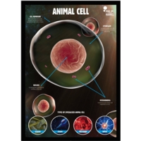Animal Cells Poster