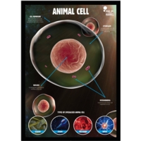 Animal Cells Poster Animal Cells Poster
