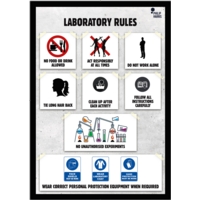 Lab Rules Poster