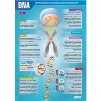 Dna Poster