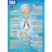 Dna Poster Dna Poster