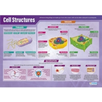 Cell Structures Poster Cell Structures Poster