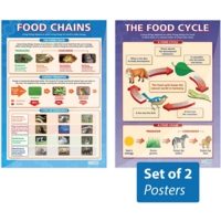The Food Cycle Food Chains Posters The Food Cycle Food Chains Posters