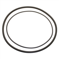 Spare Belt For Whimshurst Spare Belt For Whimshurst