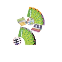 Counting And Understanding Numbers 1-6 Counting And Understanding Numbers 1-6