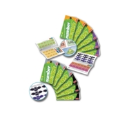 Counting And Understanding Numbers 7-12 Counting And Understanding Numbers 7-12