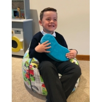 Sensory Bean Cushion