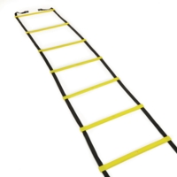 Agility Ladder 4m Agility Ladder 4m