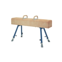 Vaulting Horse With Castors Vaulting Horse With Castors