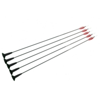 Arrows Archery - Pack Of 5 Arrows