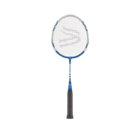 Davies Shorty Badminton Racket