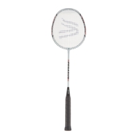 Davies Pegasus Badminton Racket