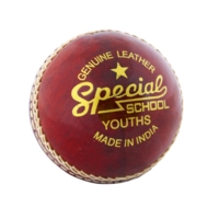 Readers Special School Cricket Ball Jun Readers Special School Cricket Ball Jun