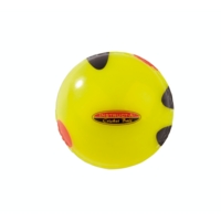 Instruct A Cricket Ball Instruct A Cricket Ball