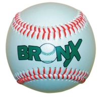 Bronx Baseball