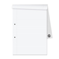 A4 Refill Pad, Feint & Margin Pack 10   R4RP
