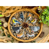 Sensory Play Stones - Birds