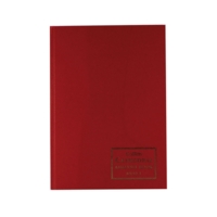 Cathedral A4 Analysis Cash 10 Column 96 Page Book