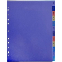 A4 Coloured Extra Wide PVC January-December Part Dividers