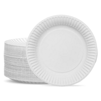 White 9" Paper Plates Pack of 100